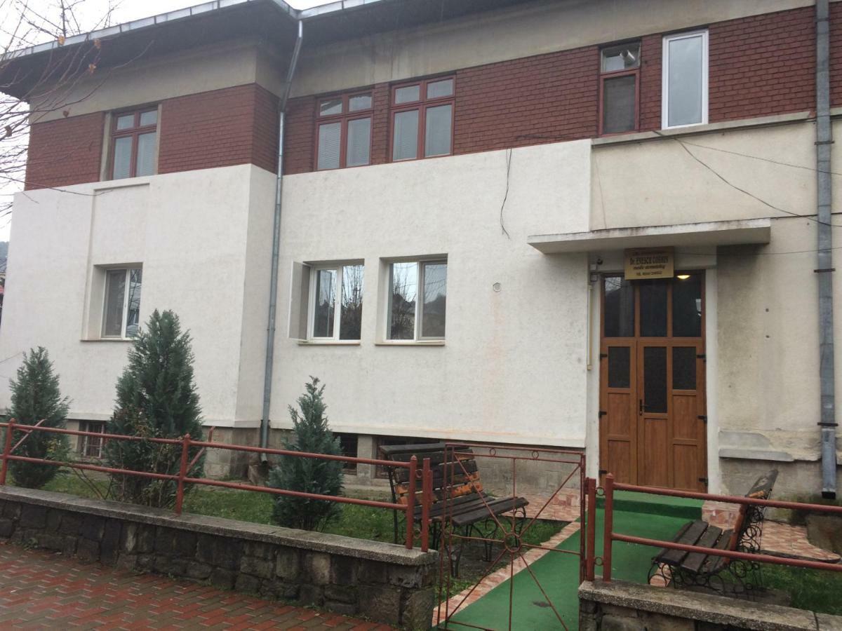 Garsoniera Mandrilor Daire Slănic Dış mekan fotoğraf